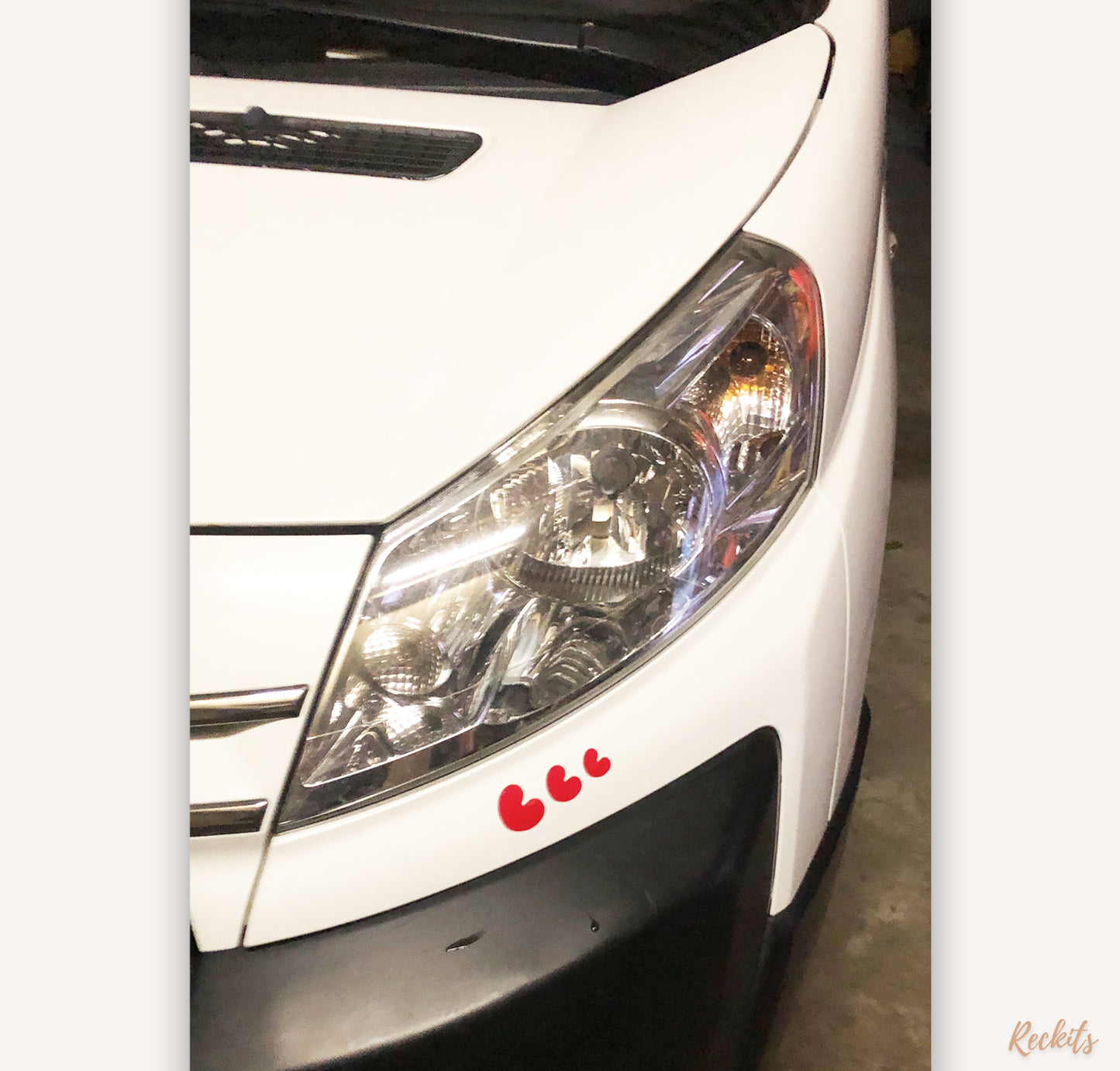 Pompeblêd stickervel Friesland